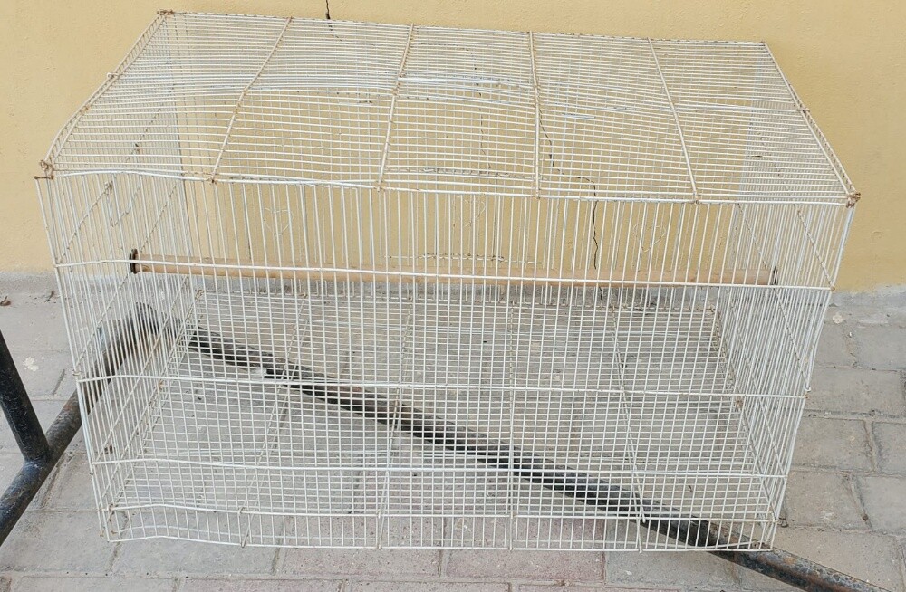 اقفاص - 4