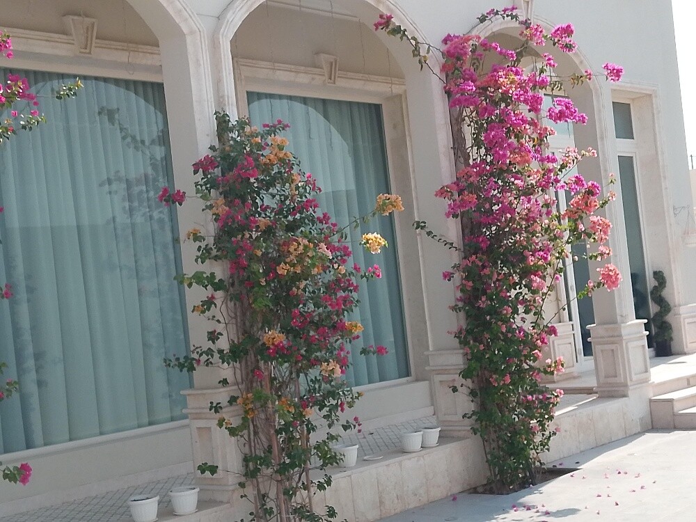 منسق حدائق 55079950 - 9
