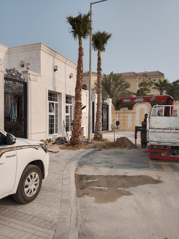 منسق حدائق 55079950 - 7