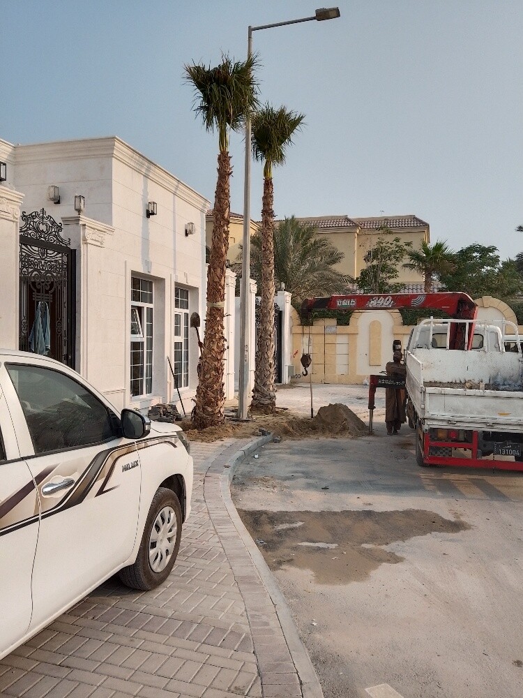 منسق حدائق 55079950 - 5