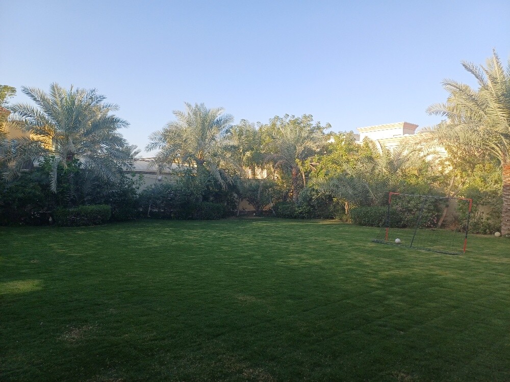 مزارع - 6