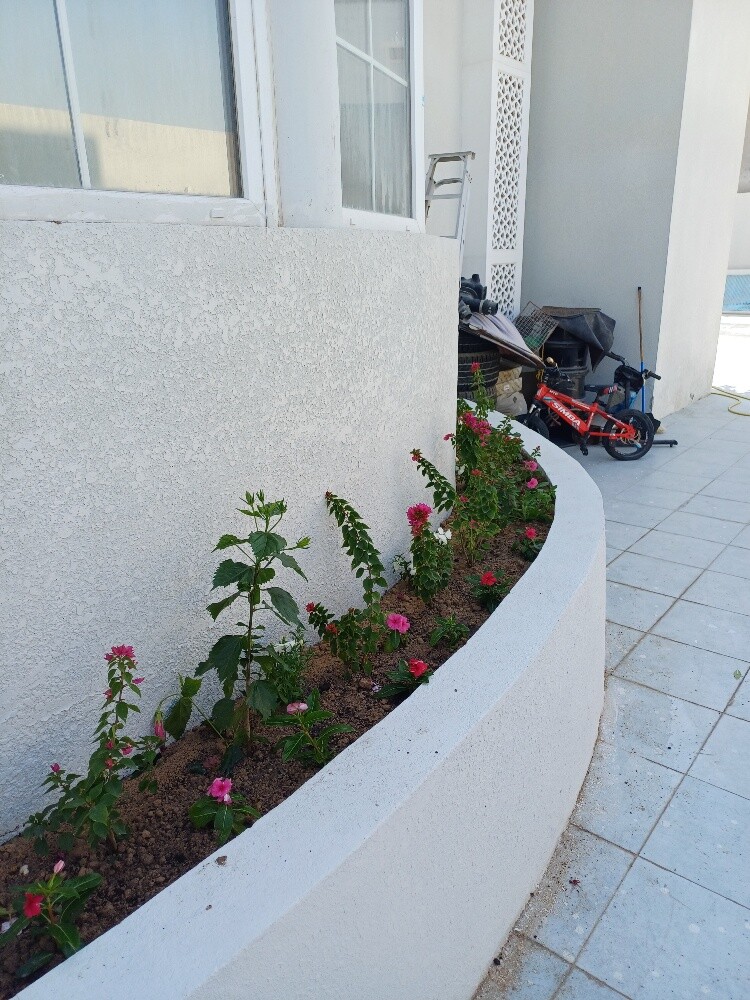 مزارع - 8