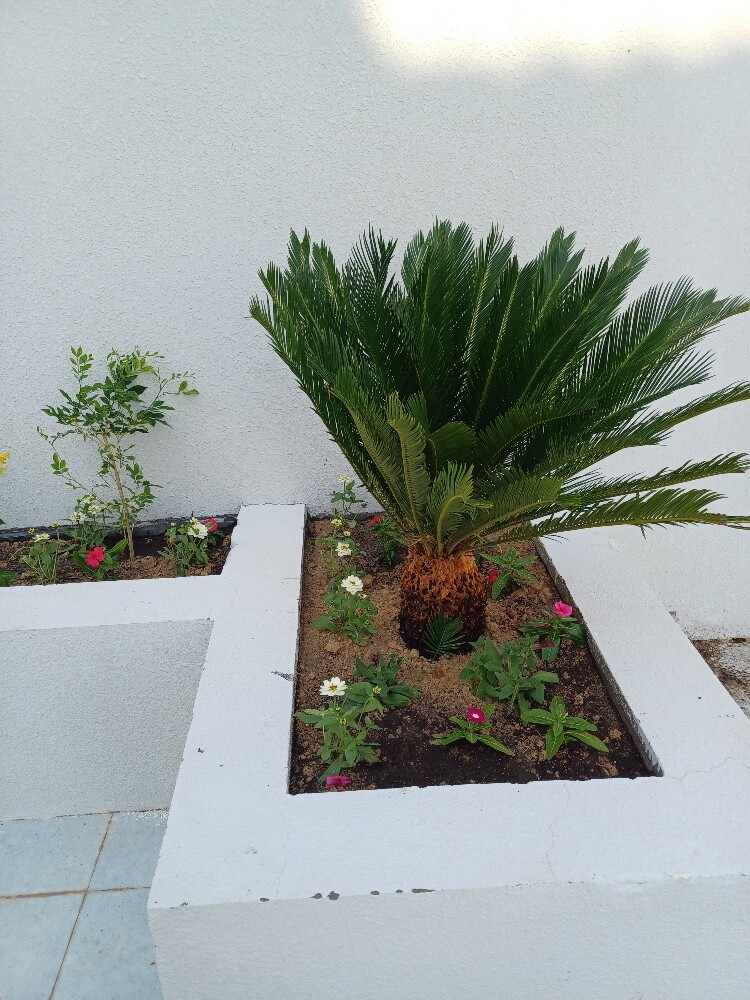 مزارع - 9