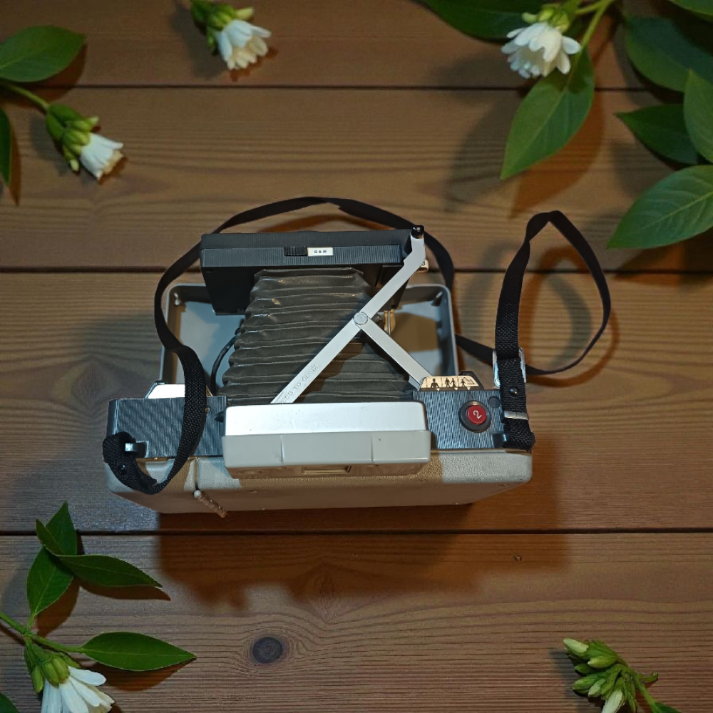 old vintage poloroid - 2