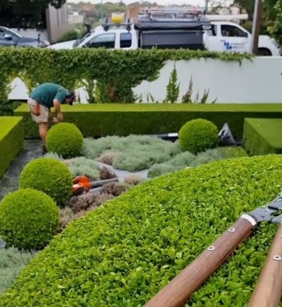 منير - 4