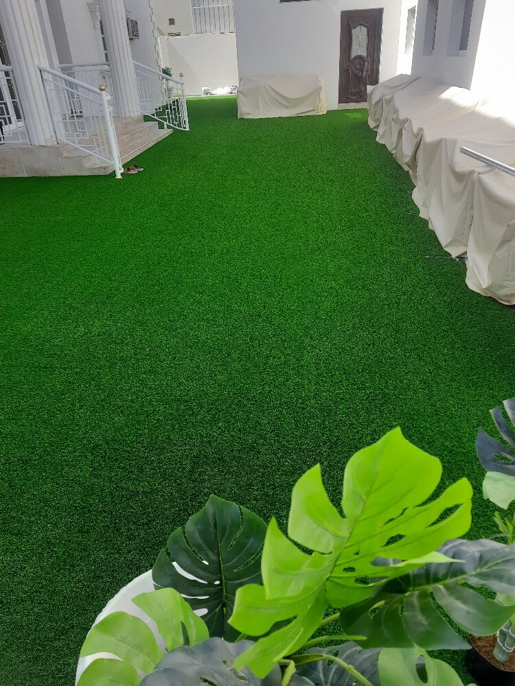 Green carpet - 2