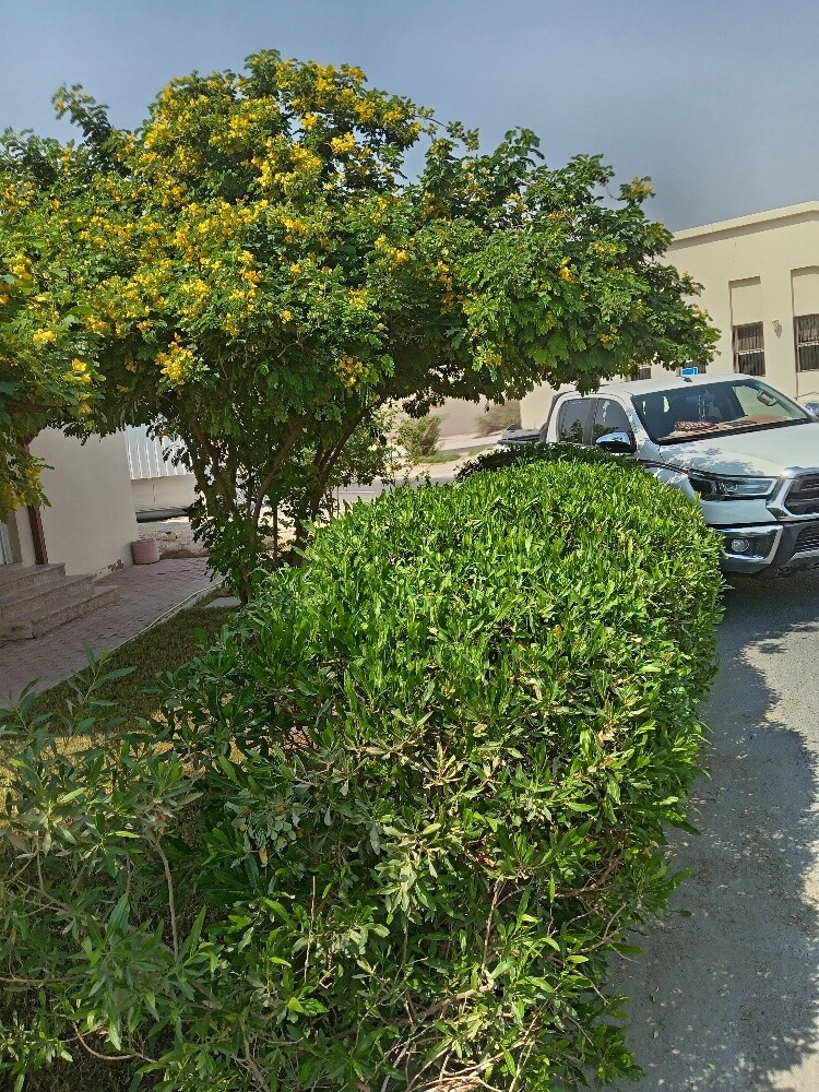 زراعه - 2