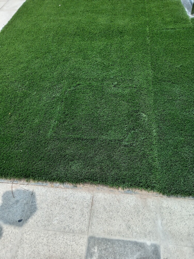 زراعه وديكور - 3