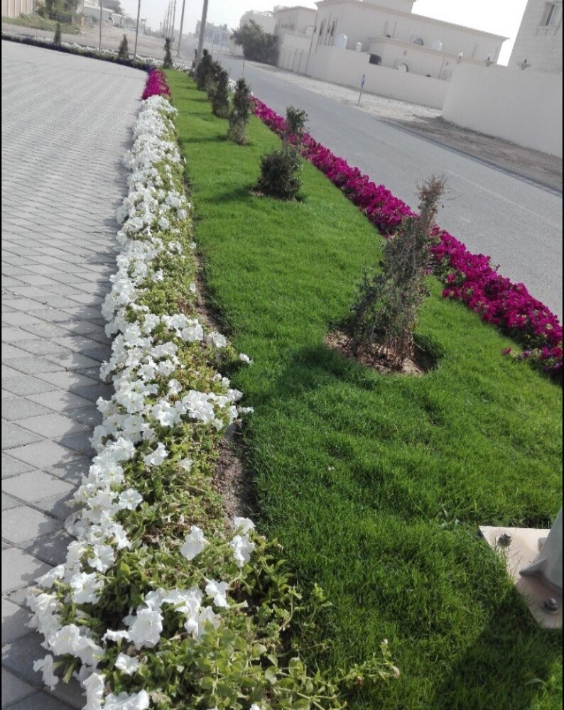 تنسيق وترتيب الحدائق - 3