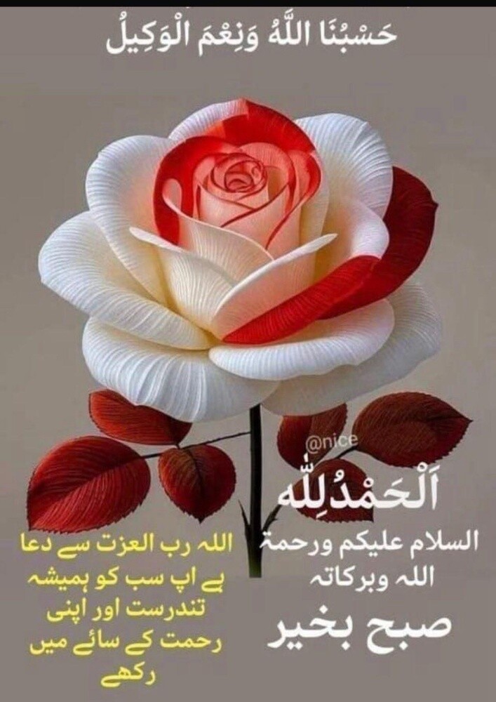 noor - 1