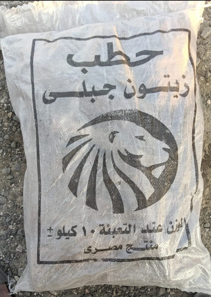 حطب الزيتون - 1