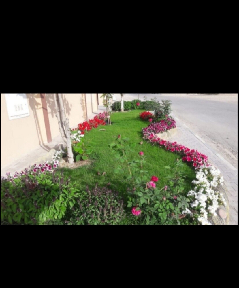 تنظيف ترتيب ورش الزراعه - 3