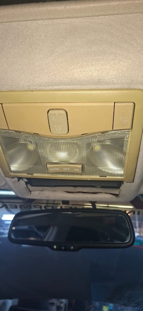 Avalon Limited 2008 - 3