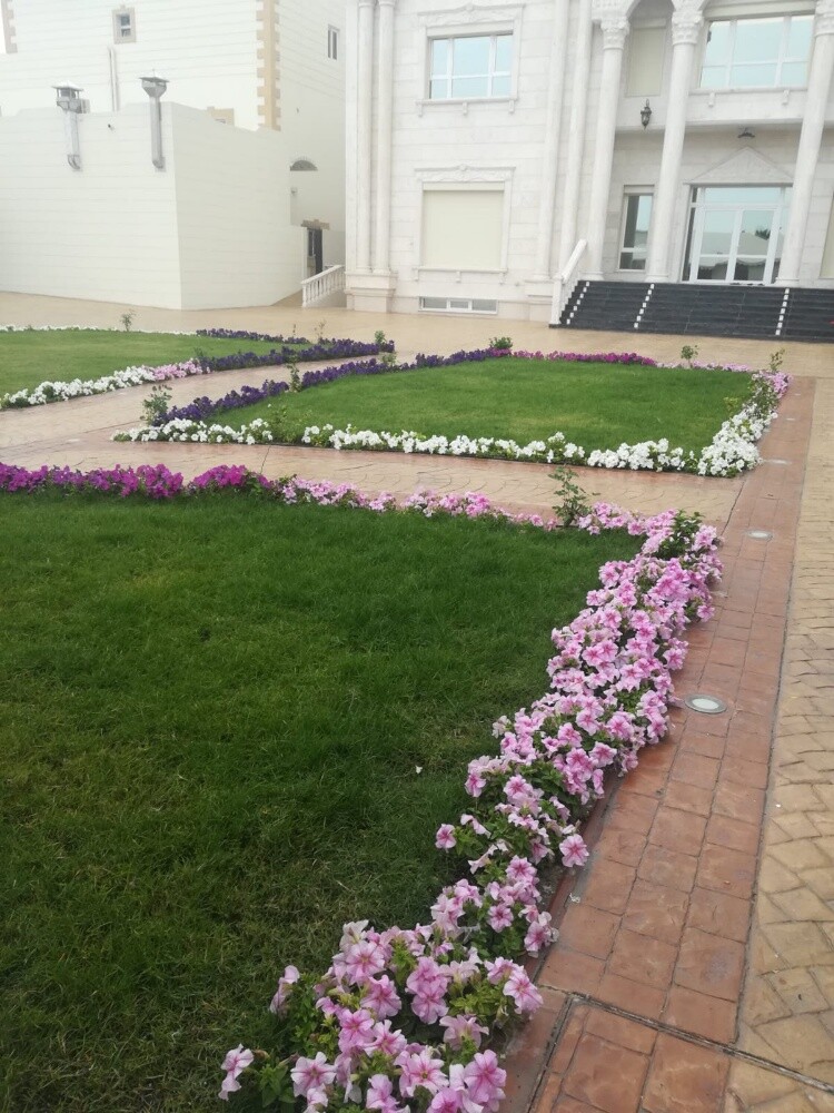 شركه زراعة - 6