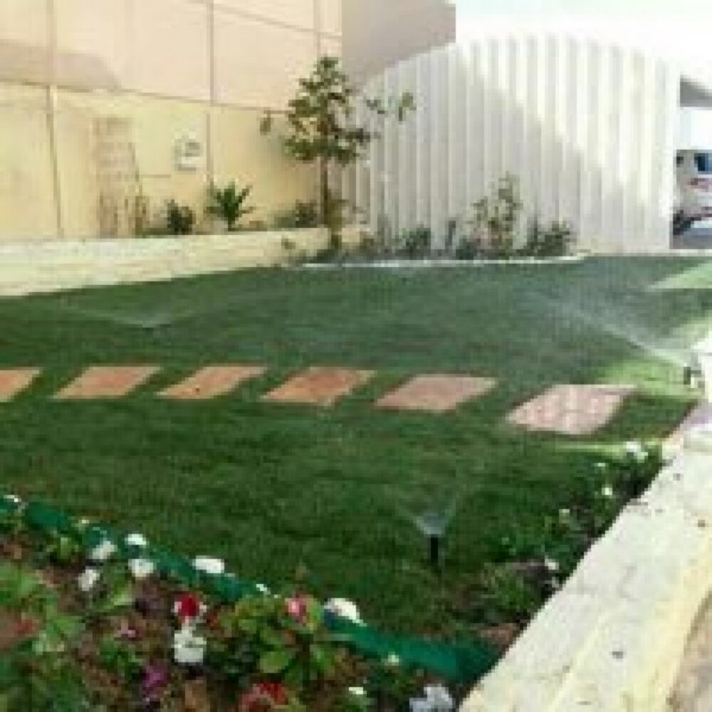 شركه زراعة - 3