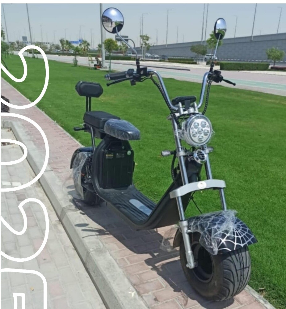 دراجة كبير - 2