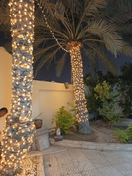 QATAR EVENT LIGHTING - 4