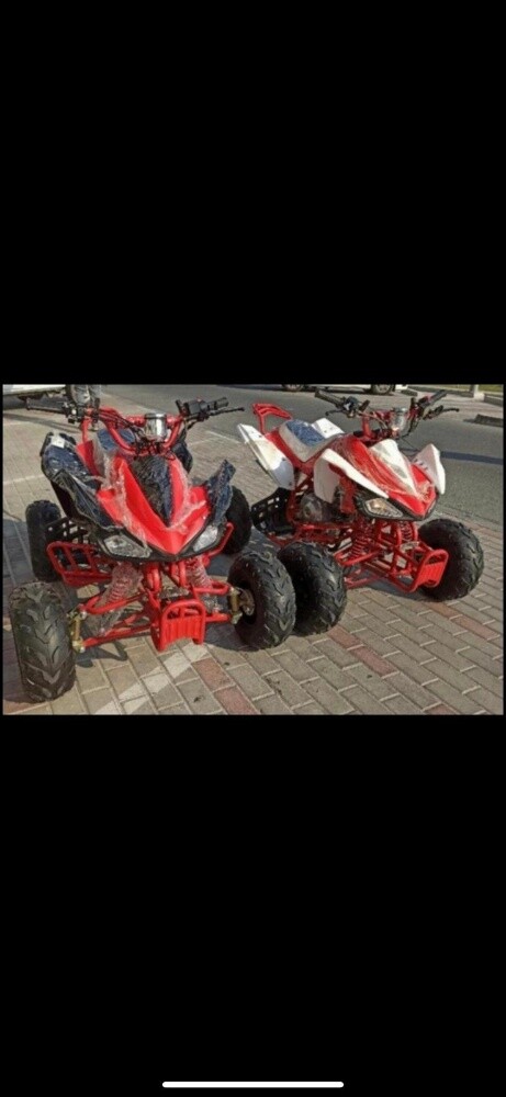 Drift bike patrol 110cc - 2