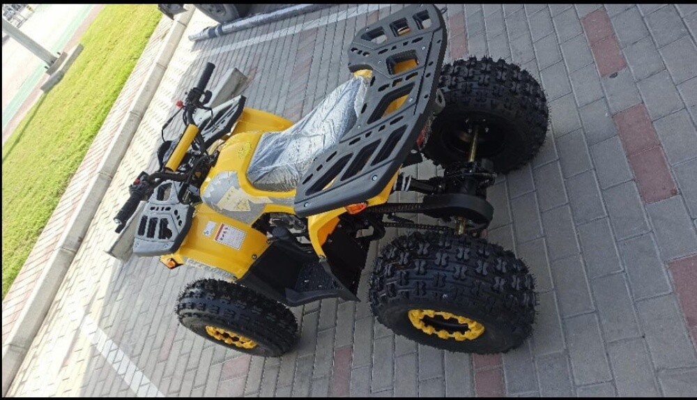 buggy patrol 125cc - 6