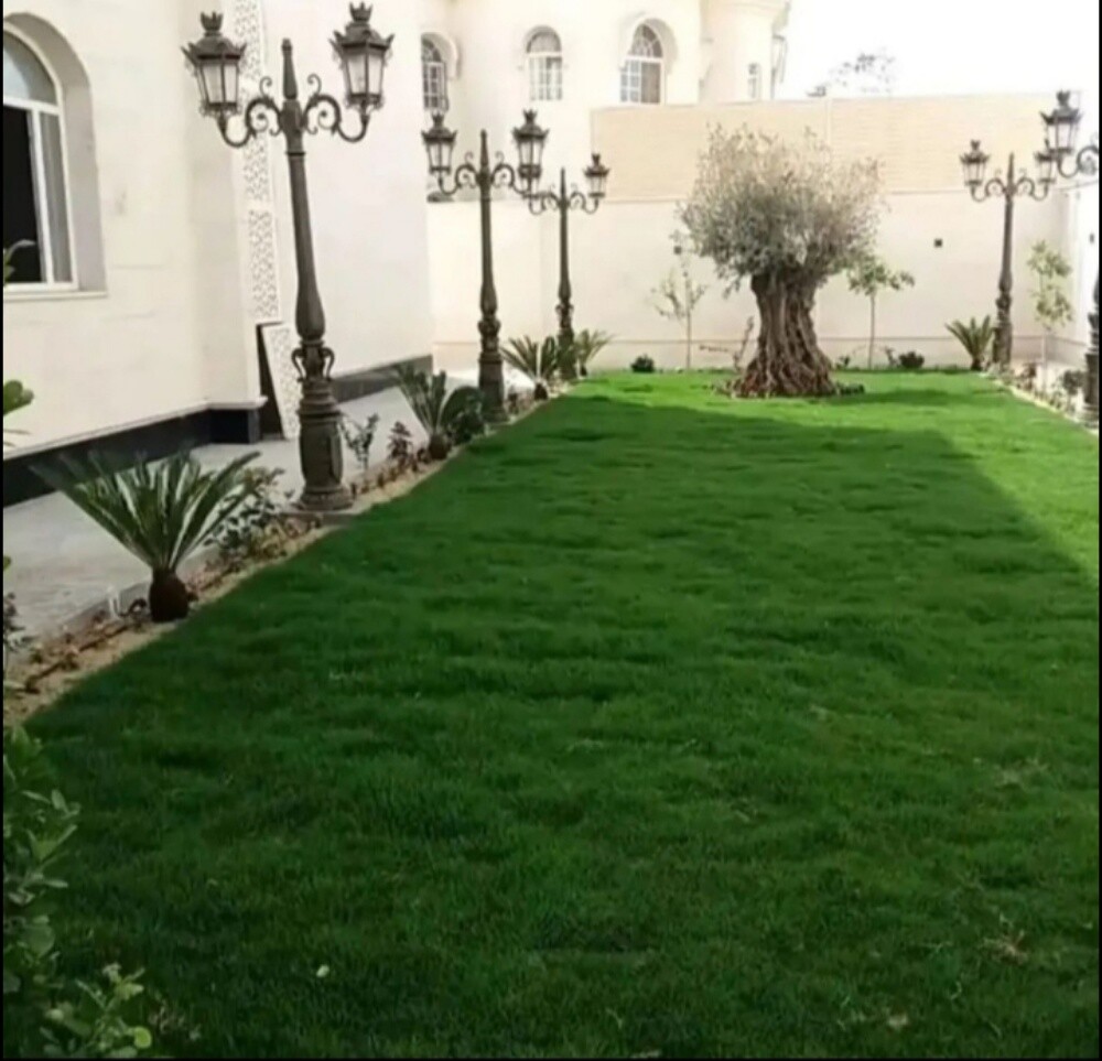 تنظيف وترتيب الحدائق ورش المبيدات - 2