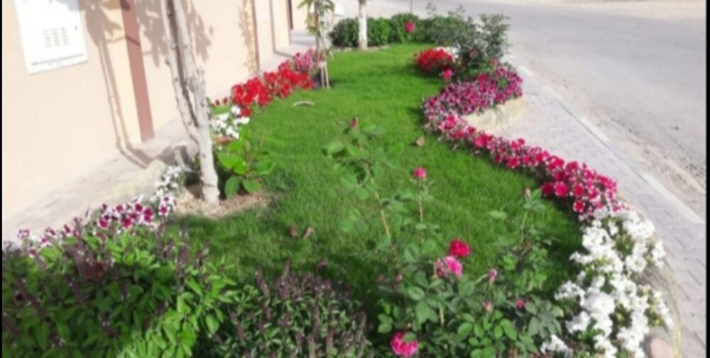 تنظيف وترتيب الحدائق ورش المبيدات - 1