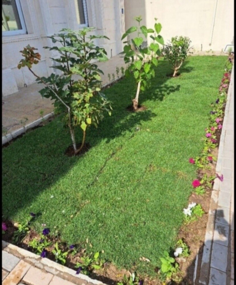 تنظيف وترتيب الحدائق ورش المبيدات - 3