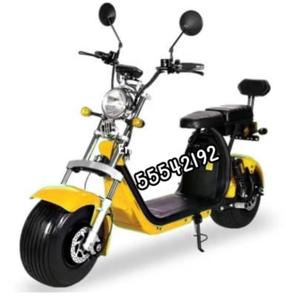 electric Harley - 1