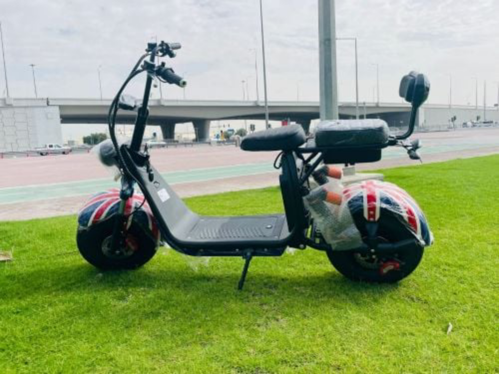 electric Harley - 4