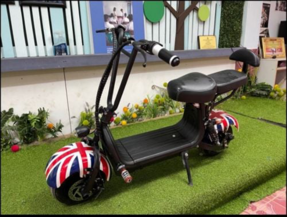 electric Harley - 3