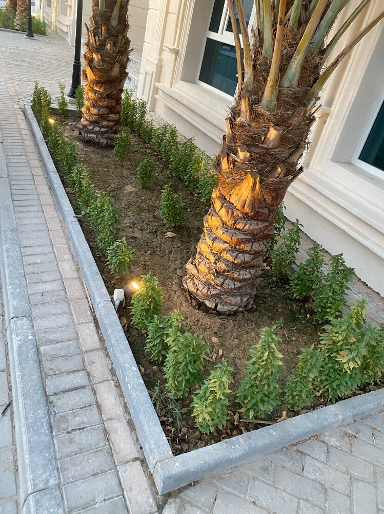 حدائق زراعيه - 8
