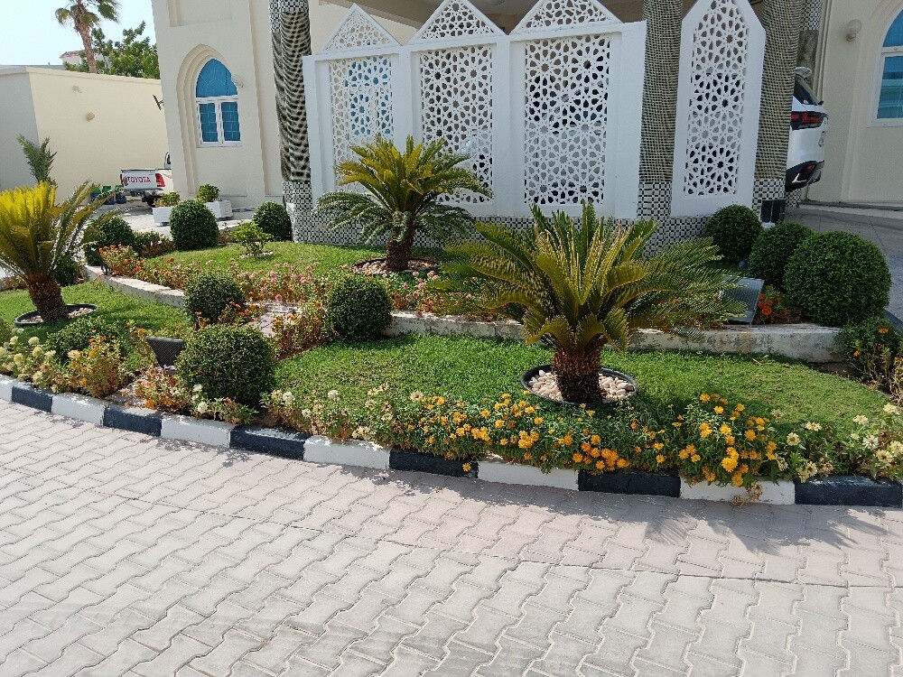 تنسيق وتجميل الحدائق (30514013) - 1