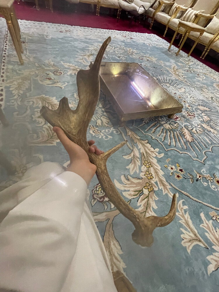 قرن غزال قديم جداً - 2