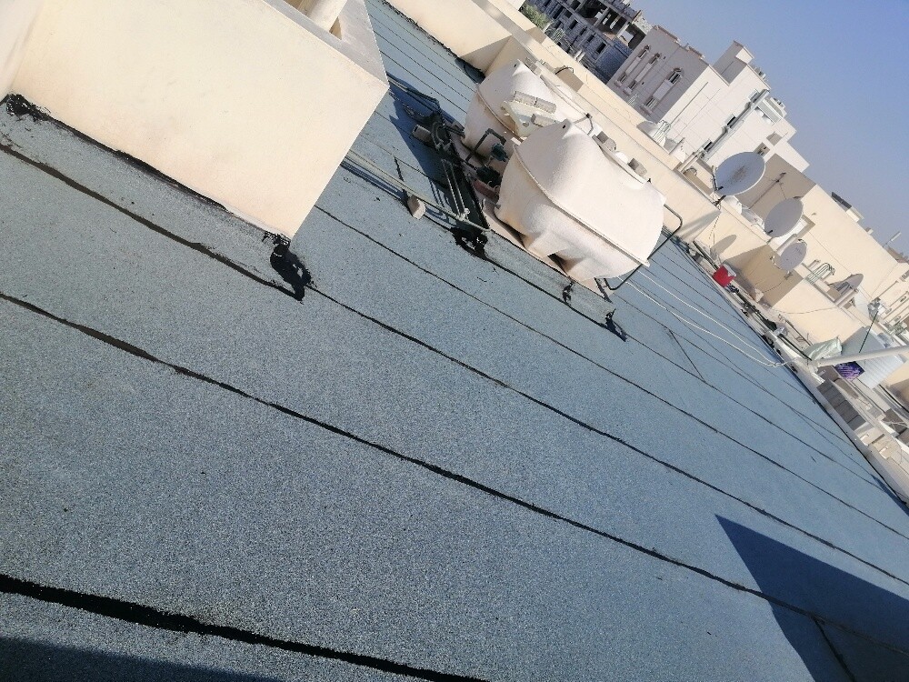 معن - 20