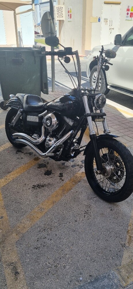 Harley Davidson dyna street p - 7