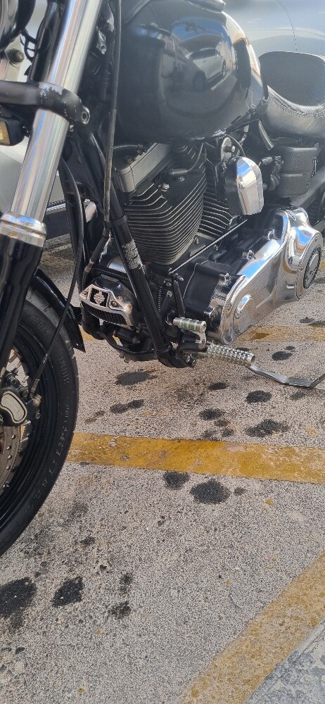 Harley Davidson dyna street p - 1