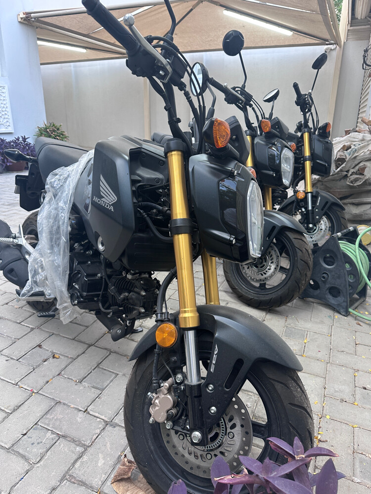 Honda grom - 1