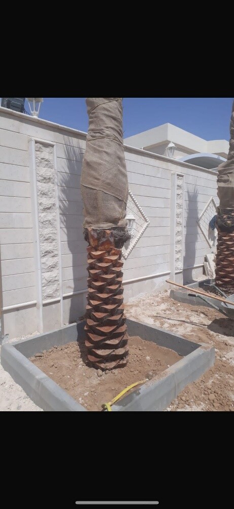 زراعة العشب والنخيل - 4