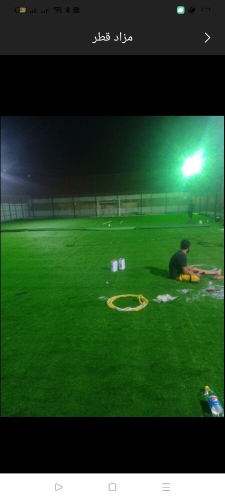 العشب الصناعي - 6