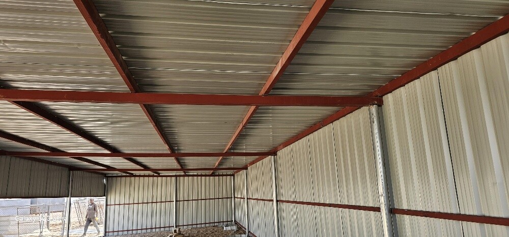 Camel house - 4