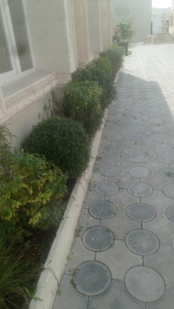 الزراعه - 2