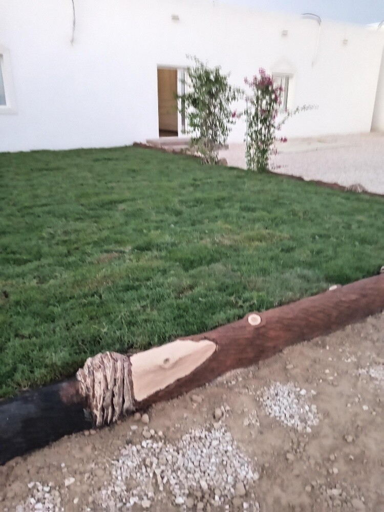 العشب الاخضر - 2