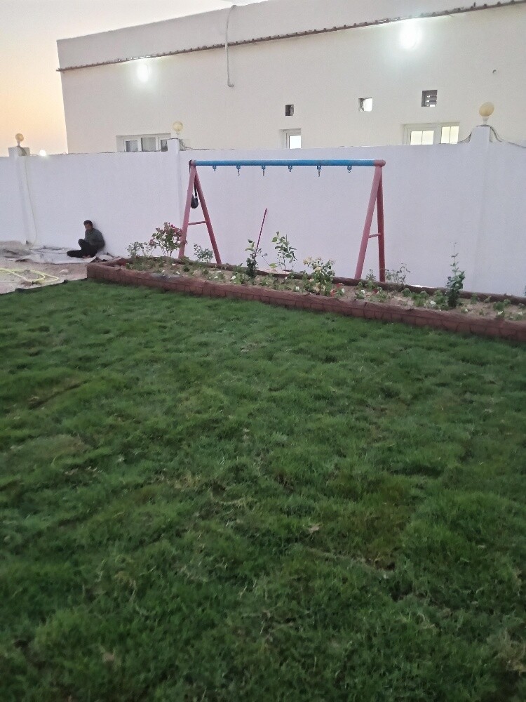العشب الاخضر - 1
