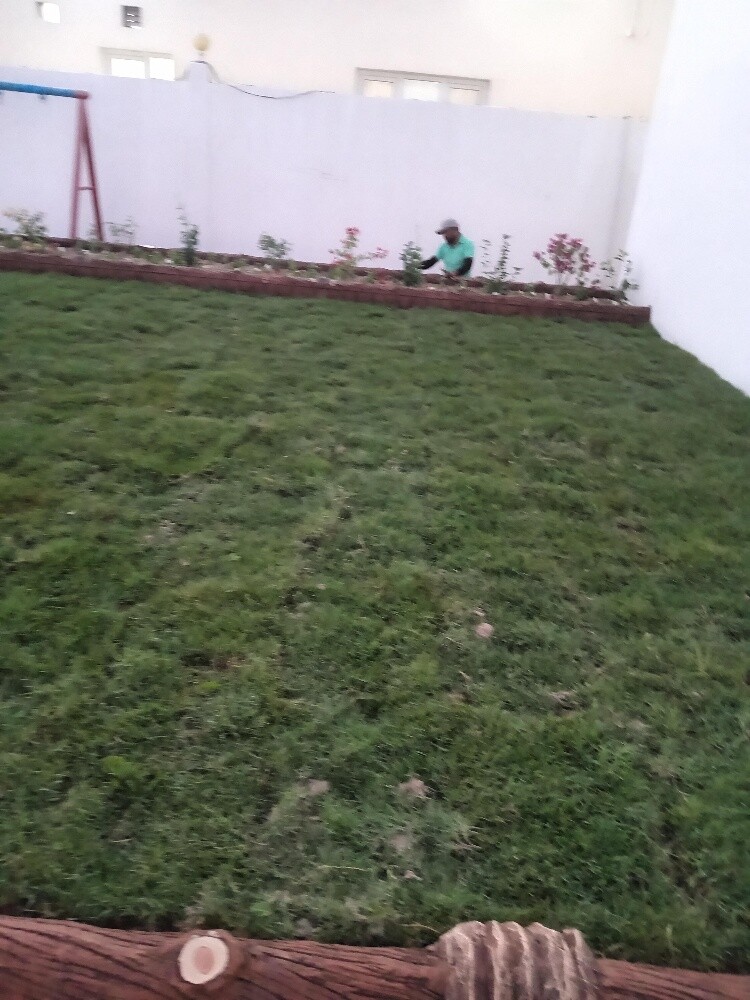زراعه وديكور - 3