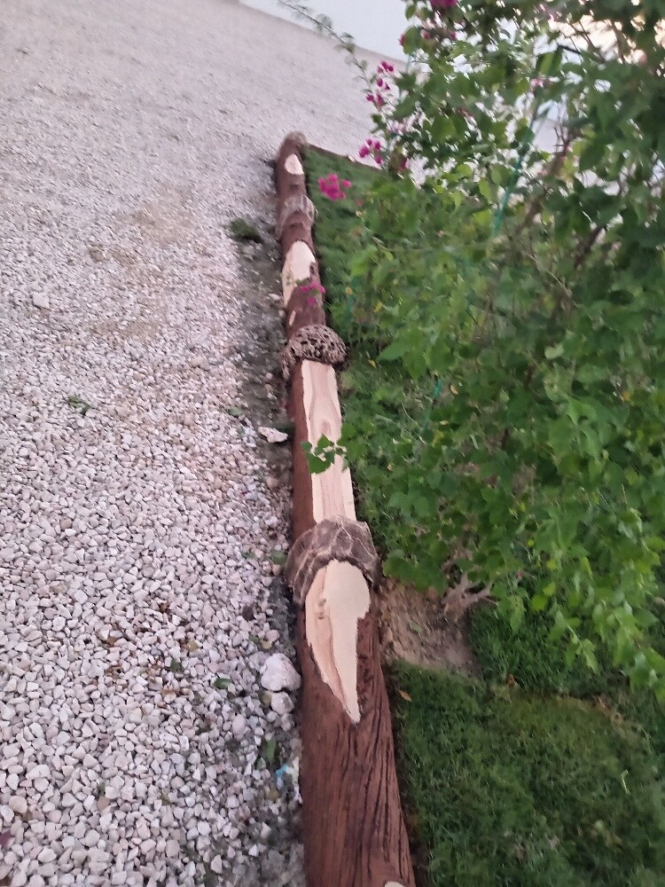 زراعه وديكور - 2