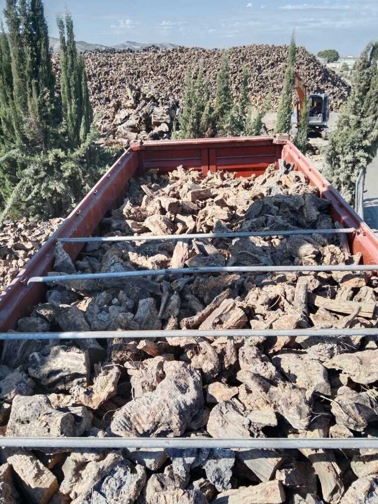 حطب اسبانى - 1
