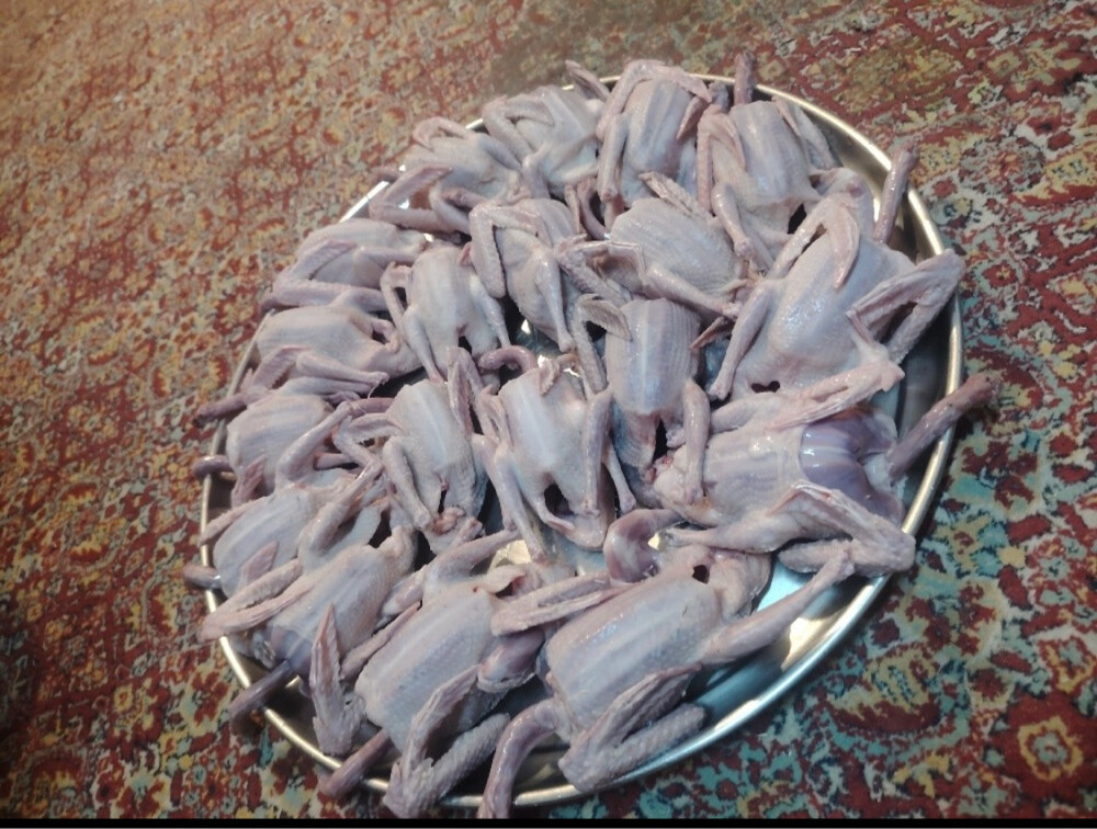  جهازل فرخ حمامة - 1