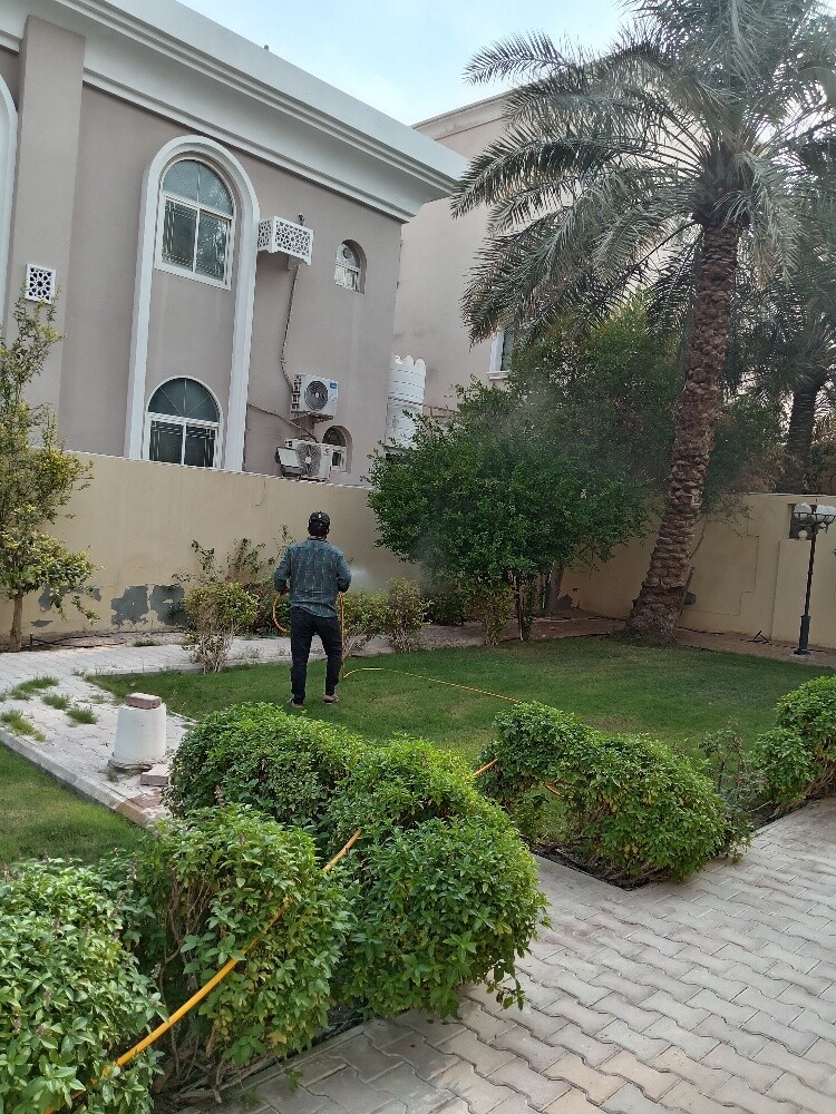 زراعه وديكور - 1