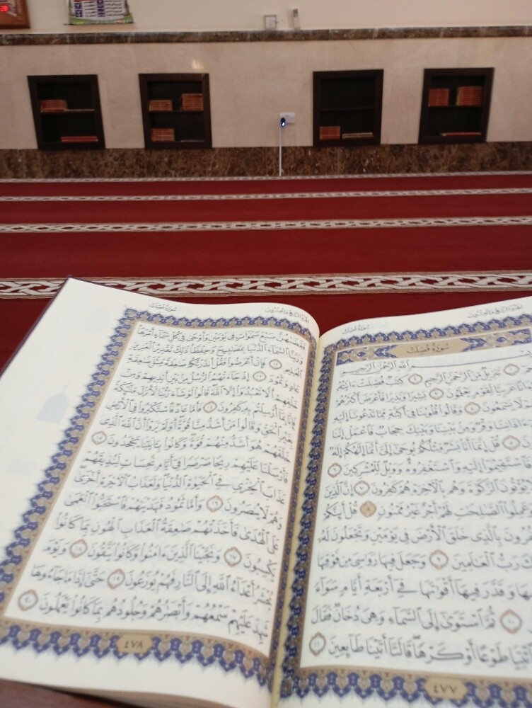 محفظ قرآن كريم هاتف 59984732 - 1