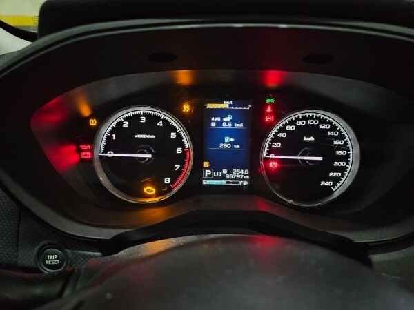 Subaru Forster 2020 - 6
