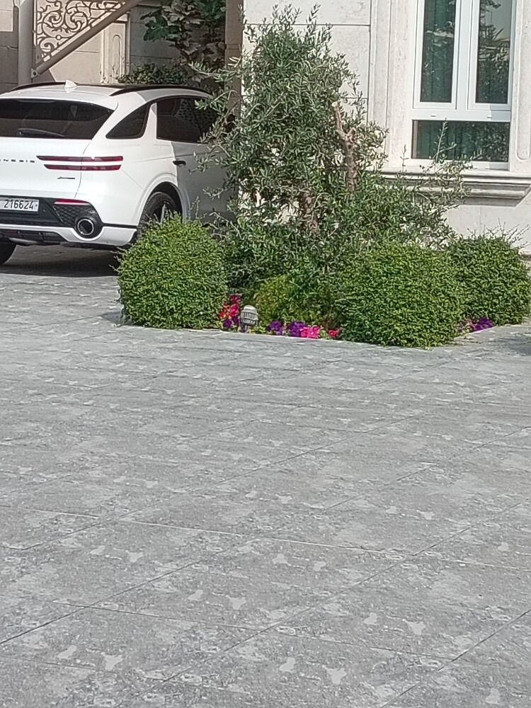 زراعه وديكور - 1